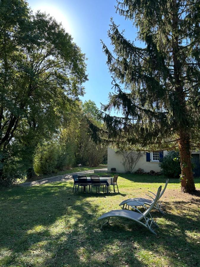 Cosy Dans La Verdure